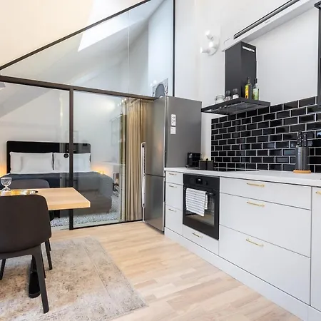 Stilvolle Dachgeschosswohnungen Mit Balkon In Innenstadt Naehe Wien Exterior foto