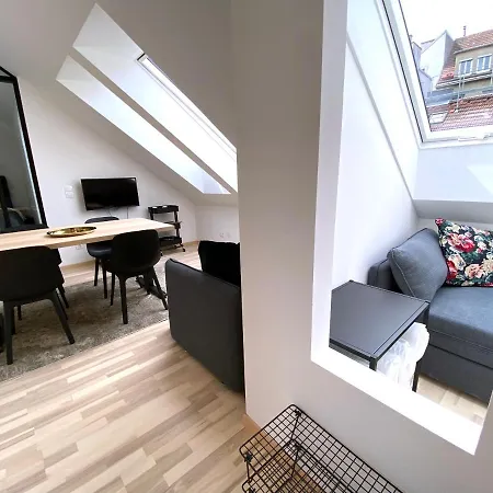 Stilvolle Dachgeschosswohnungen Mit Balkon In Innenstadt Naehe Wien Exterior foto